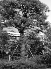安多注册公司